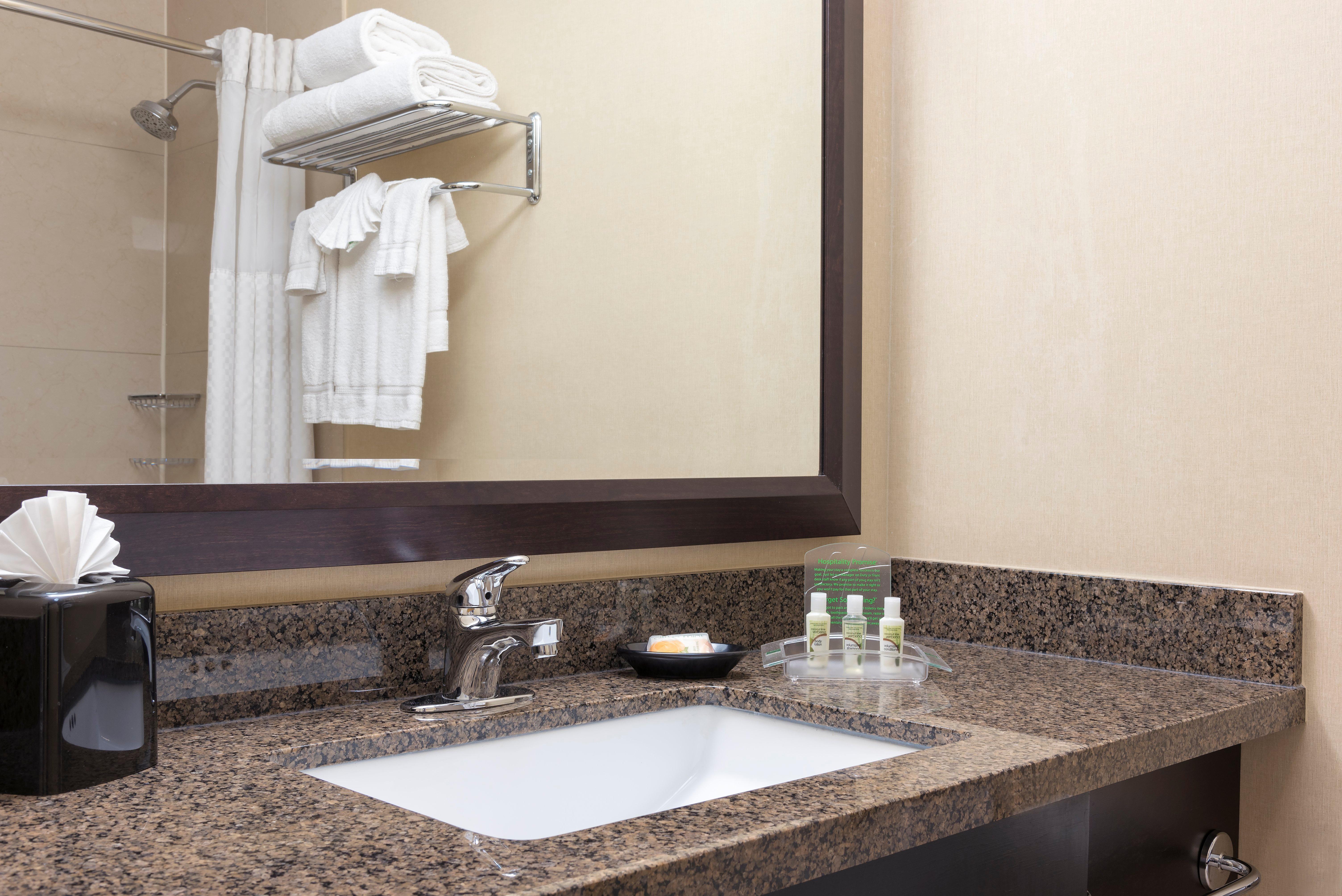 Holiday Inn Chicago - Elk Grove, An Ihg Hotel Elk Grove Village Ngoại thất bức ảnh