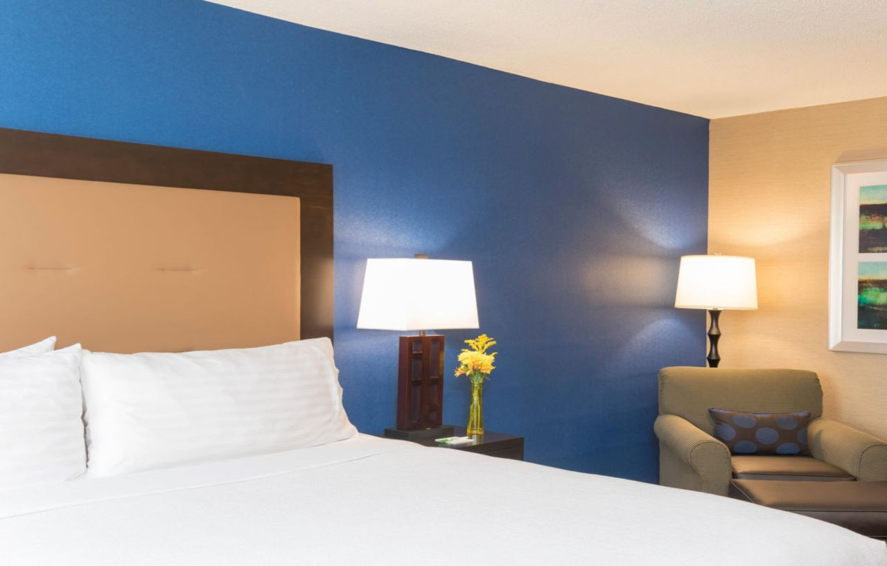 Holiday Inn Chicago - Elk Grove, An Ihg Hotel Elk Grove Village Ngoại thất bức ảnh